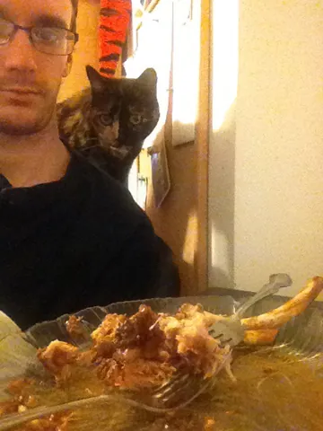 Momma Cat peeking over a person’s shoulder beside a dinner plate.